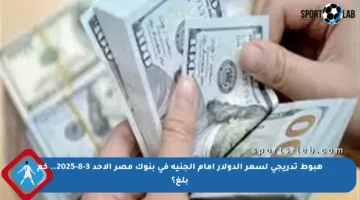 هبوط تدريجي لسعر الدولار أمام الجنيه في بنوك مصر الأحد 3-8-2025.. كم بلغ؟
